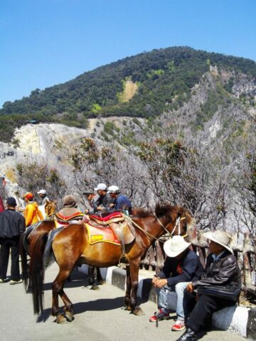 Berkuda di Tangkuban Perahu