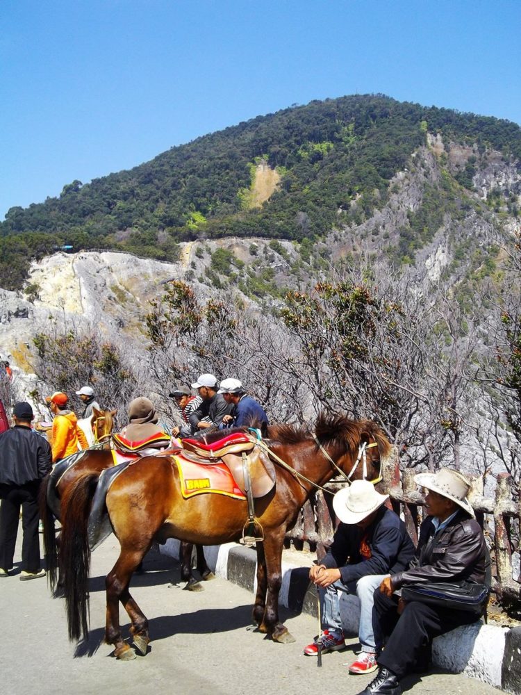 Berkuda di Tangkuban Perahu