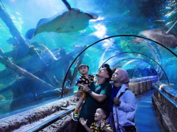 Seaworld Ancol