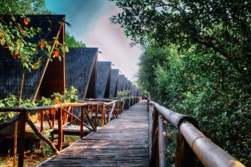 Taman Wisata Alam Mangrove