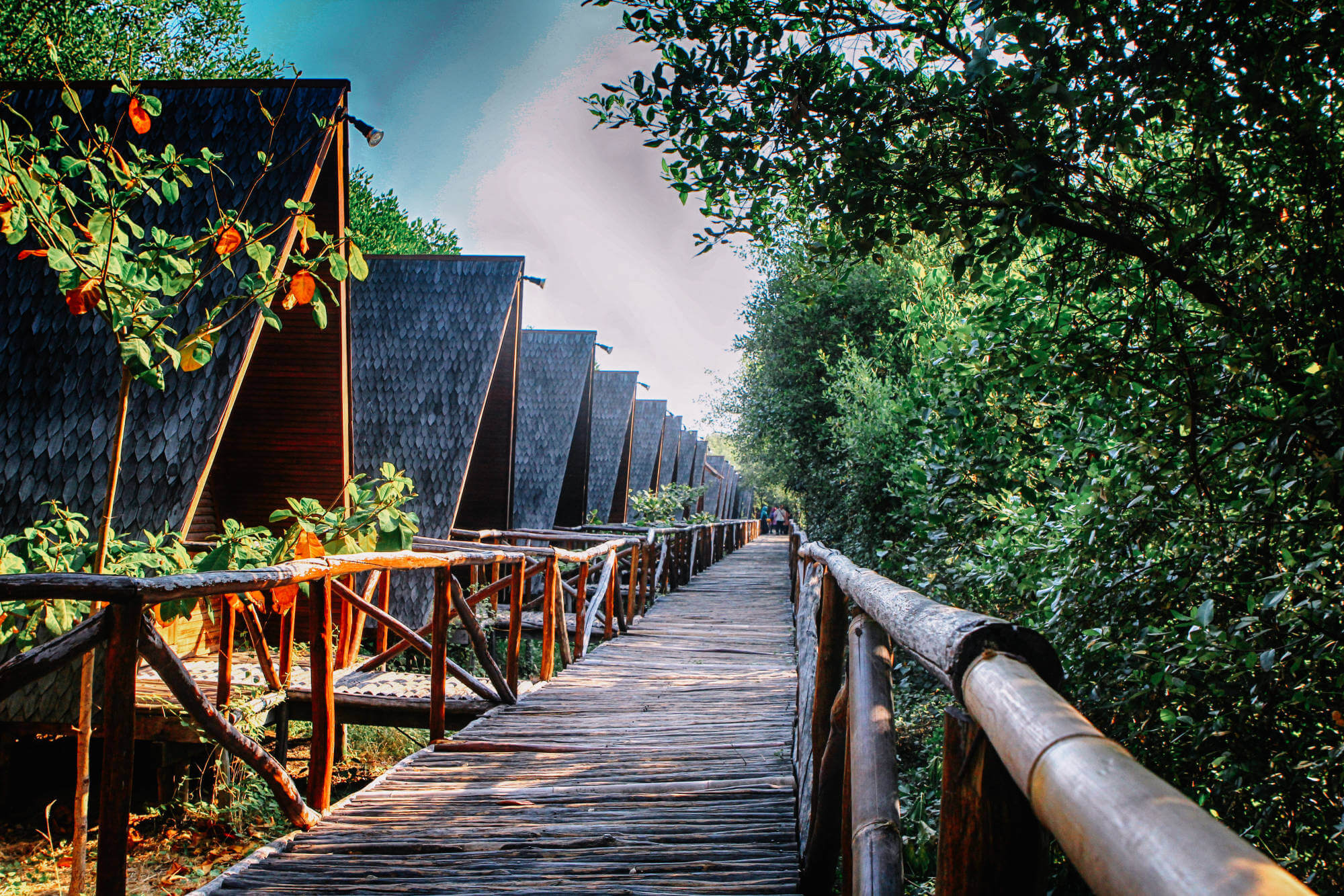 Taman Wisata Alam Mangrove